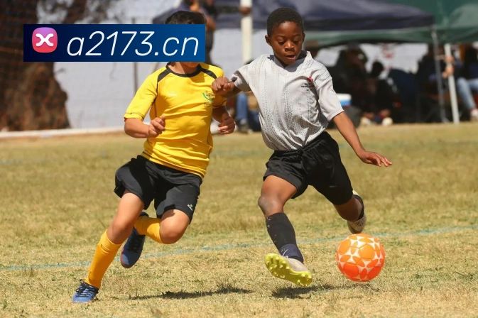 九游j9官方平台平台生态图